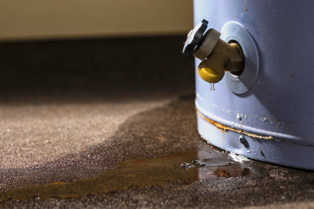 Best Water damage restoration near me  in Hamshire, TX