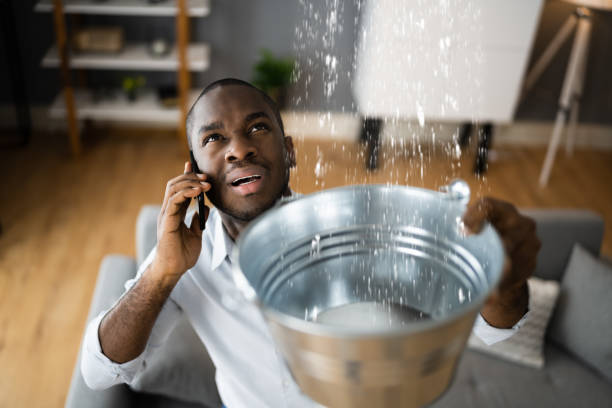 Best 24-hour water damage restoration  in Hamshire, TX