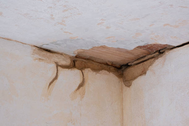 Best Residential water damage restoration  in Hamshire, TX