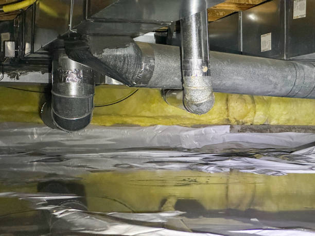 Best Carpet water damage restoration  in Hamshire, TX